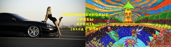 ПСИЛОЦИБИНОВЫЕ ГРИБЫ Лабытнанги