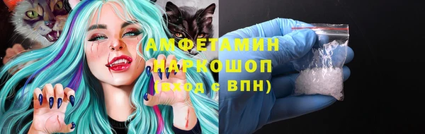 хмурый Ладушкин