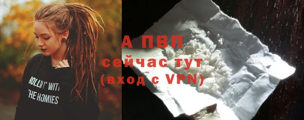 хмурый Ладушкин