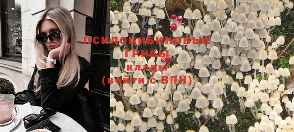 ПСИЛОЦИБИНОВЫЕ ГРИБЫ Лабытнанги