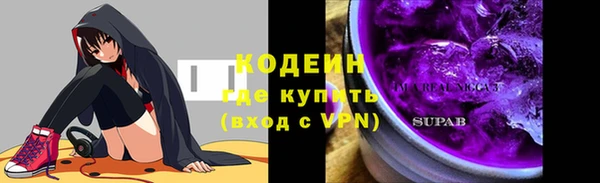 хмурый Ладушкин
