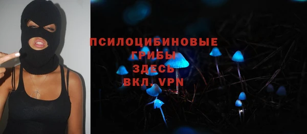 ПСИЛОЦИБИНОВЫЕ ГРИБЫ Лабытнанги
