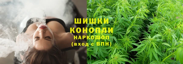 гидропоника Лагань