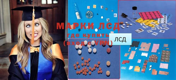 ПСИЛОЦИБИНОВЫЕ ГРИБЫ Лабытнанги