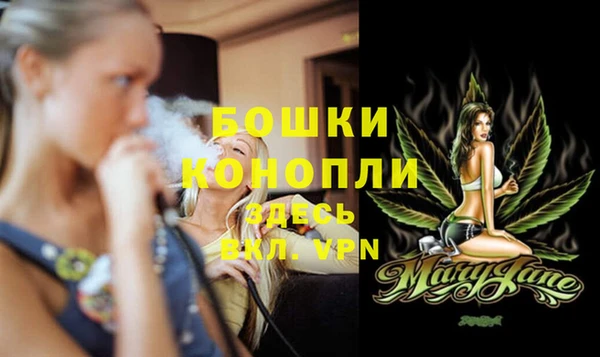 хмурый Ладушкин