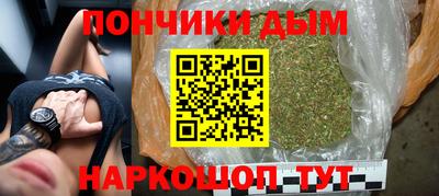 крисы Кингисепп