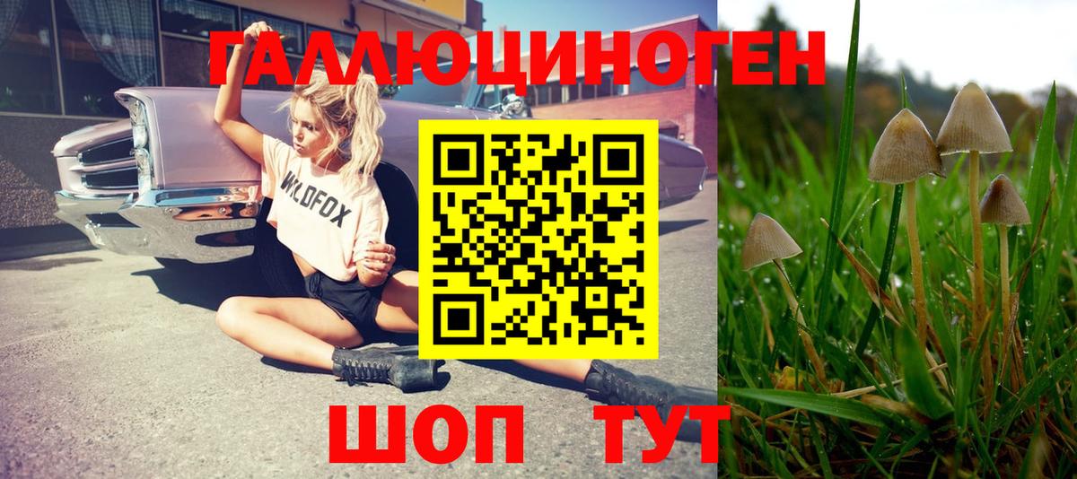 Псилоцибиновые грибы Psilocybe Усинск