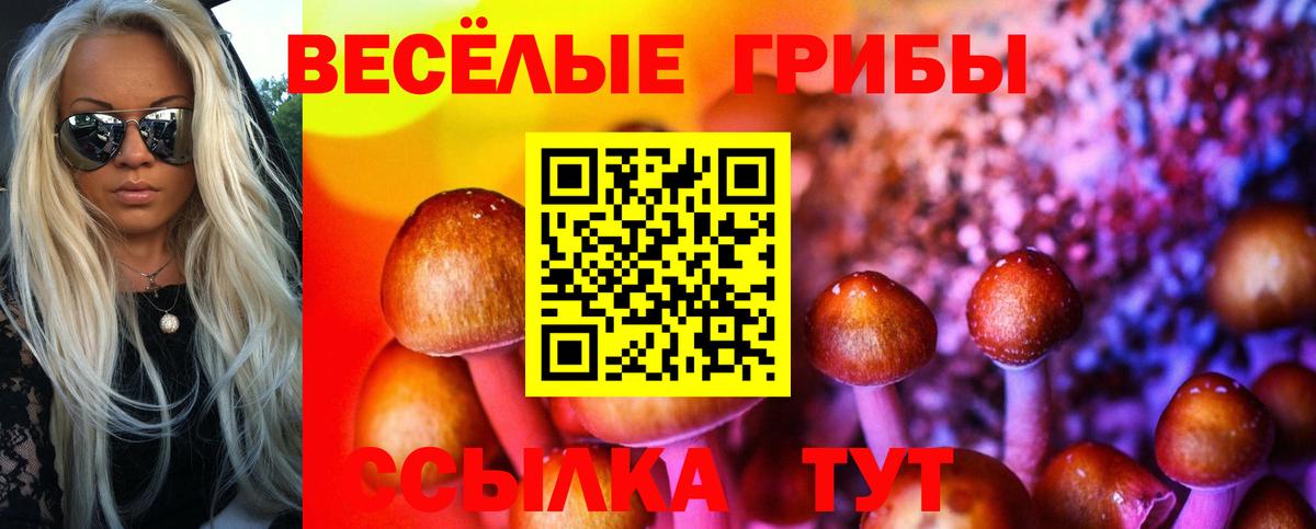 Галлюциногенные грибы Magic Shrooms Усинск