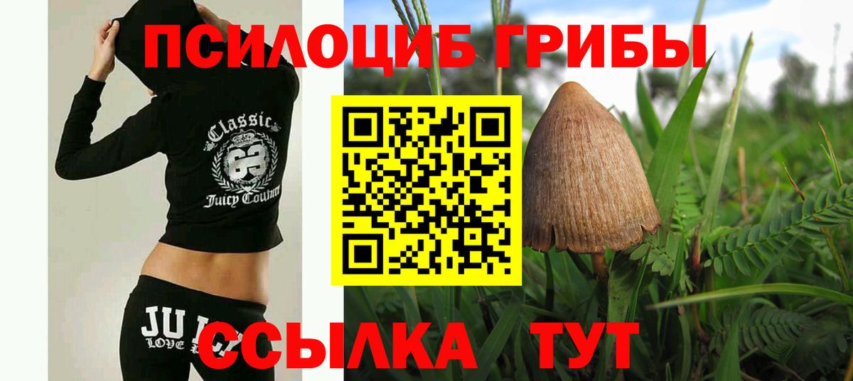 Галлюциногенные грибы ЛСД  купить  цена  Псилоцибиновые грибы Magic Shrooms  Усинск 